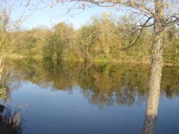 l'hiver au bord de l'Allier chambres d'hôtes Ponay près de Moulins dans l'Allier (03)